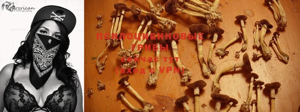 бутират Заводоуковск