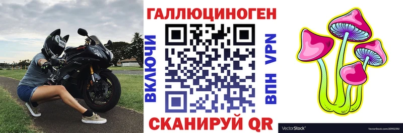 Купить где  Лабытнанги  Псилоцибиновые грибы Psilocybe 