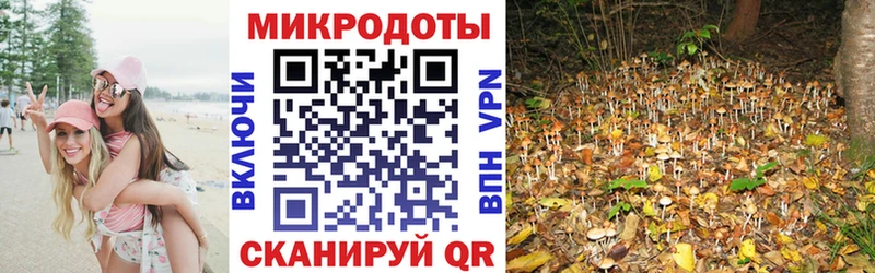 Галлюциногенные грибы прущие грибы Лабытнанги